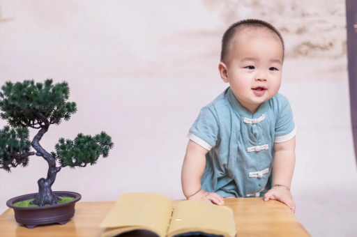 汕头可爱的企鹅宝宝